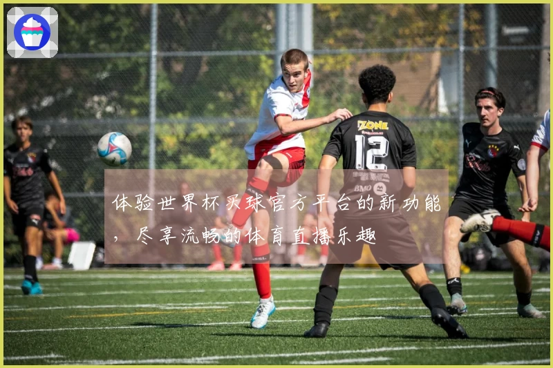 体验世界杯买球官方平台的新功能，尽享流畅的体育直播乐趣