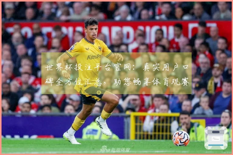 世界杯投注平台官网：真实用户口碑全方位汇总，助您畅享体育观赛体验