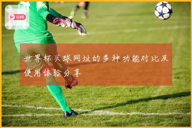 世界杯买球网址的多种功能对比及使用体验分享